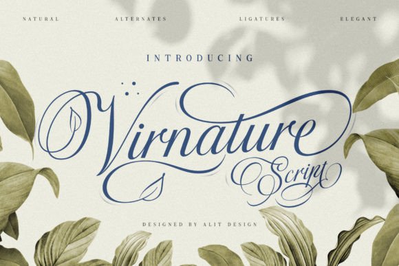 Choosing Virnature: Your Natural Font for Consistent Branding