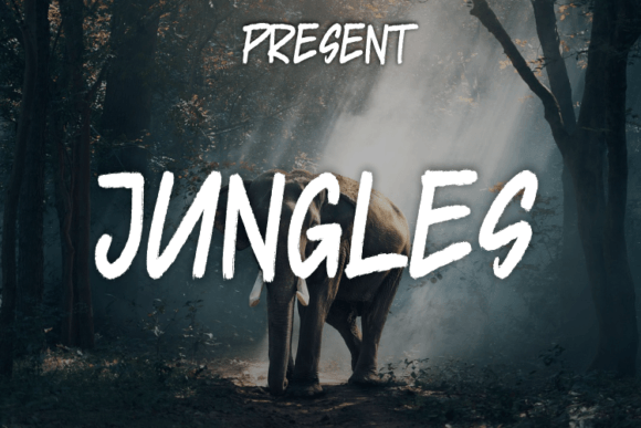 Jungles: A Script Font for Expressive Editorial Design