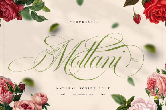 Mollani Font: An Organic Elegance for Your Creative Projects