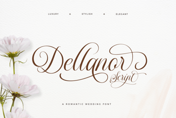 Testing Dellanor Script for a Real Branding Project