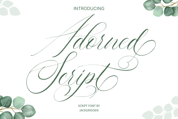 Why I Chose the Adorned Script Font for My Brand Upgrade